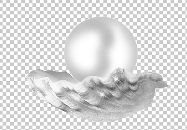 分层珍珠贝壳图片