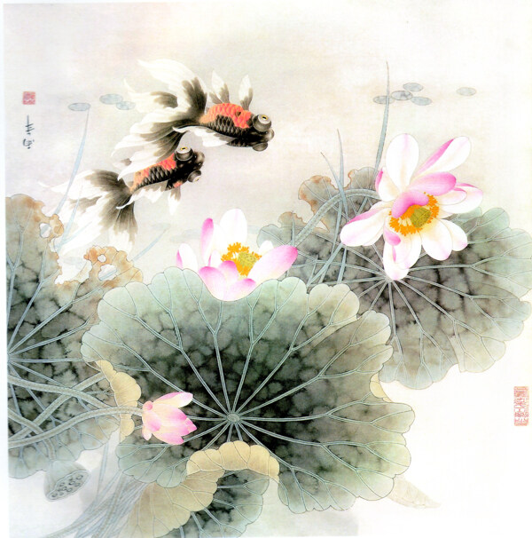 扇子国画油画风景画荷叶