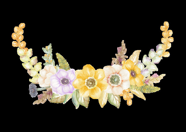 弧形美丽花卉透明装饰素材