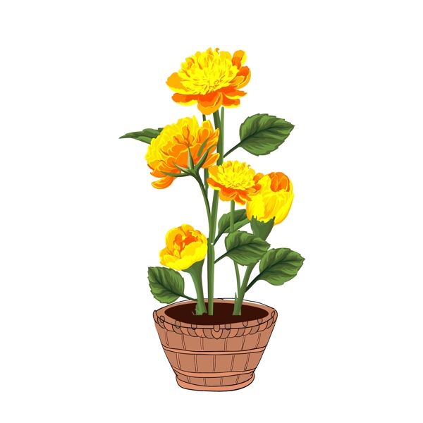 手绘植物盆景金黄色美丽花卉