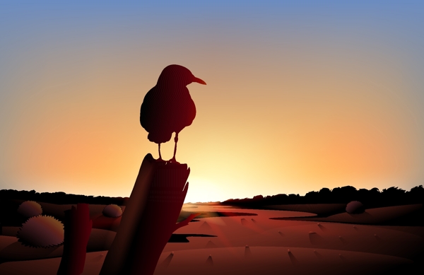 一只大鸟看到沙漠的日落景色
