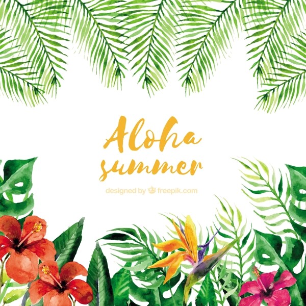 水彩画的ALOHA夏季背景的植物和花朵
