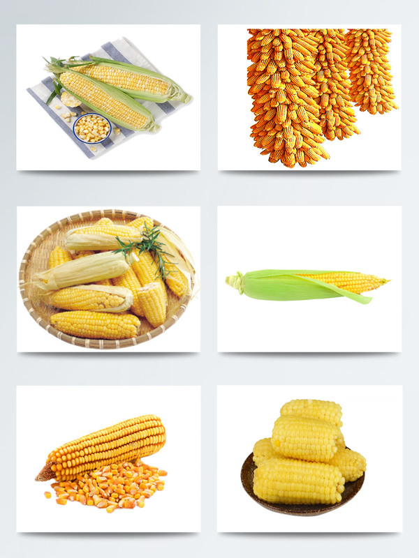 蔬菜玉米高清图案合集
