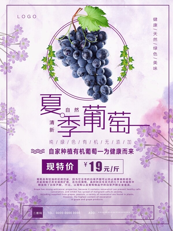 葡萄海报水果紫色水果海报促销海报