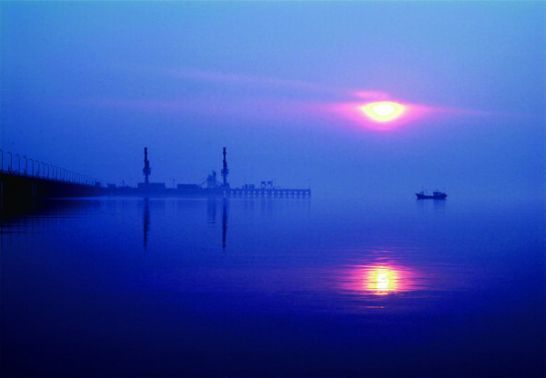 大丰港的早晨图片