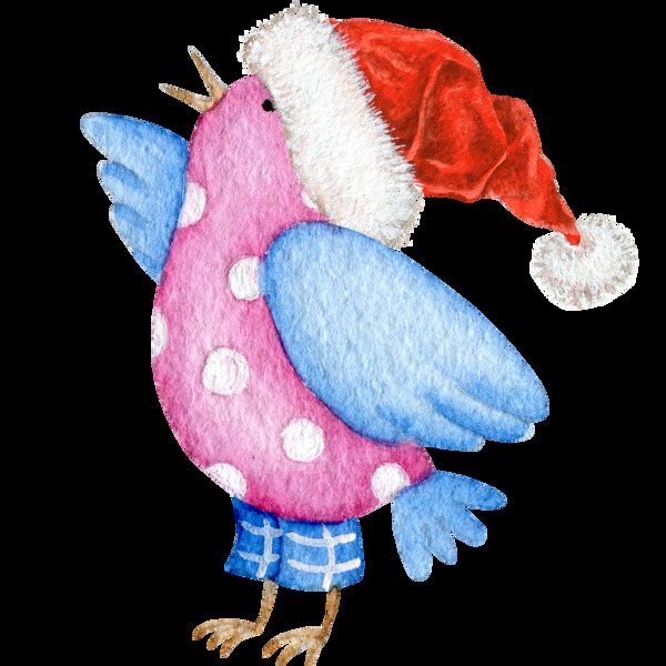 圣诞帽小鸟高清素材