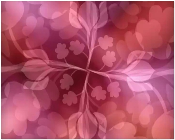 红色花背景视频素材