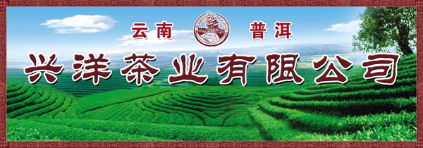 兴洋茶业图片