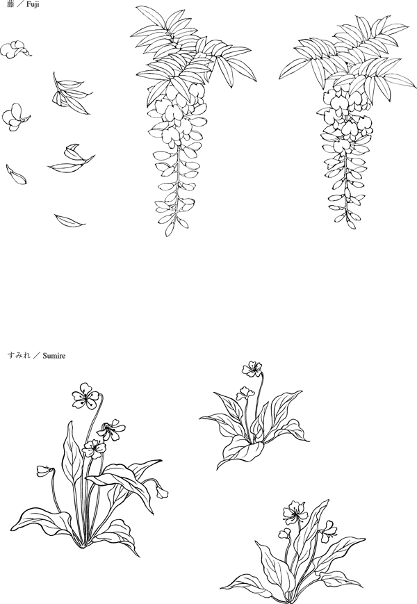 花卉图片