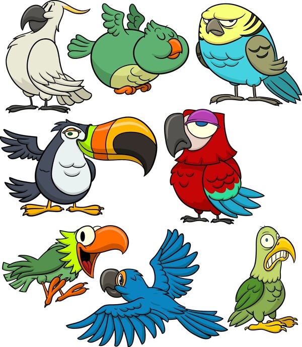 八种鹦鹉卡通