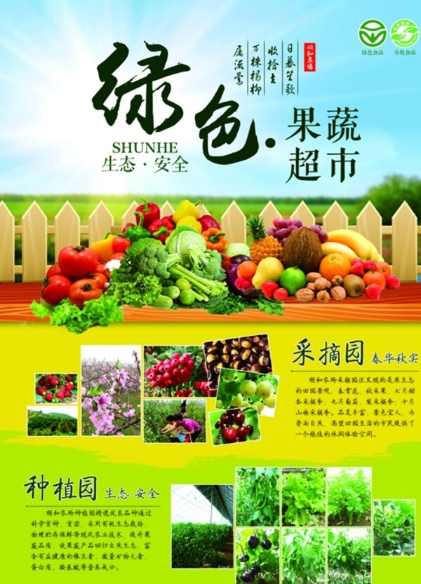 绿色有机蔬菜食品宣传