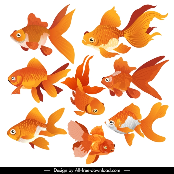 橙色金鱼设计图片