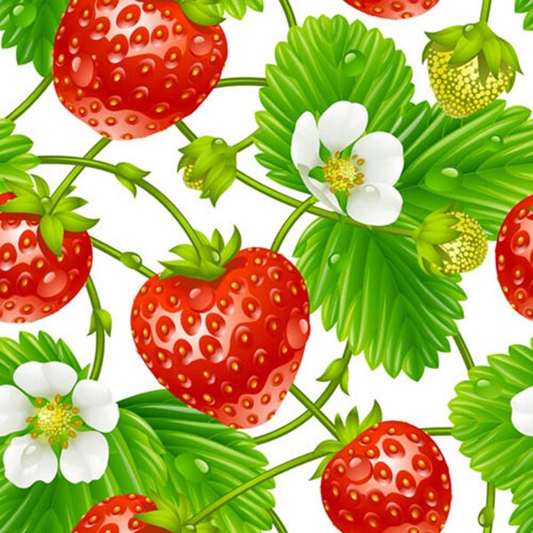 草莓绿色背景素材