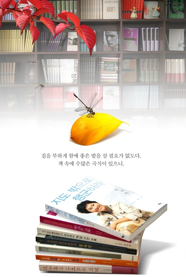 书本书架书籍书刊杂志韩国实用设计分层源文件PSD源文件