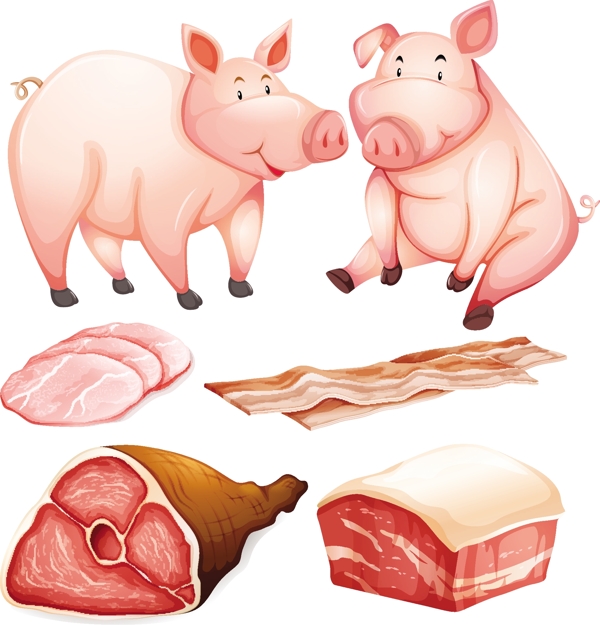 猪和猪肉