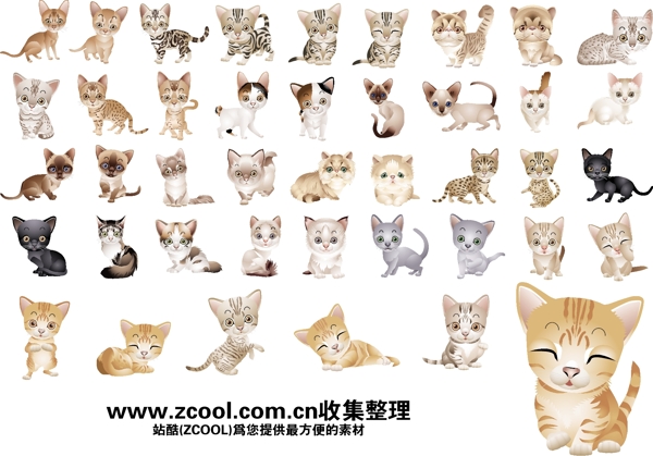 40多款可爱版小猫咪矢量素材