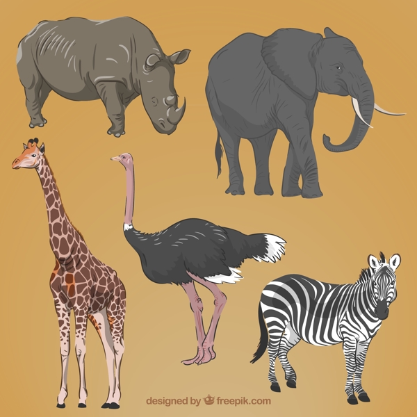 现实手绘非洲动物
