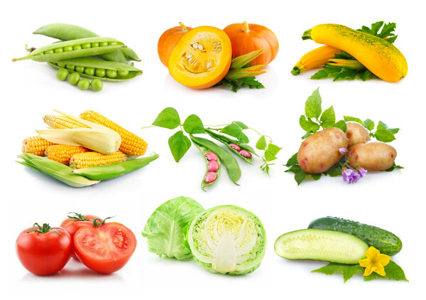 各种营养蔬菜图片