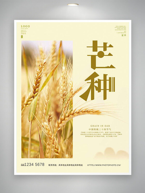 成熟麦苗插画芒种传统节气海报