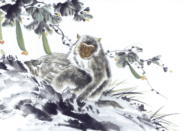 猴写意动物画国画0041