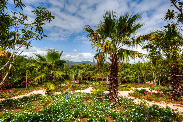 三亚南天门热带植物园