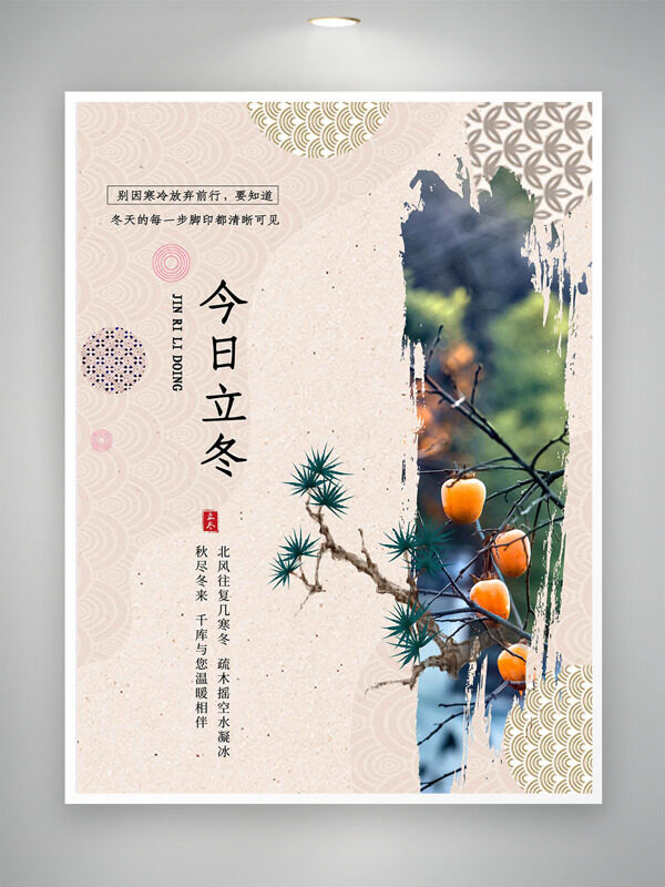秋尽冬来简约风格立冬节气柿子松树插画海报