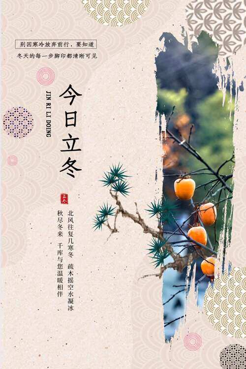 秋尽冬来简约风格立冬节气柿子松树插画海报