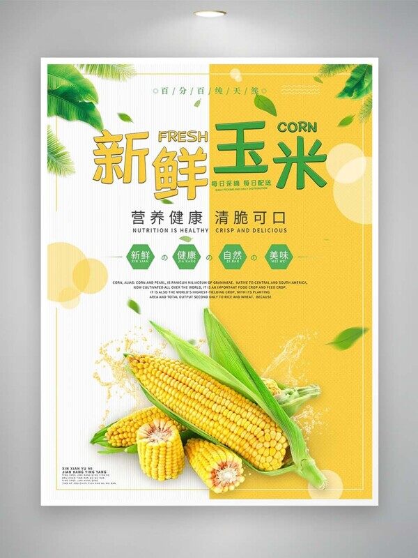 新鲜玉米营养健康清脆可口实拍白黄美食海报