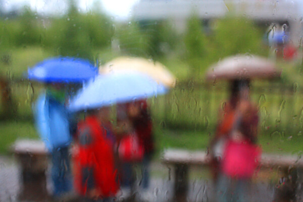 新疆旅游喀纳斯朦胧雨中行人