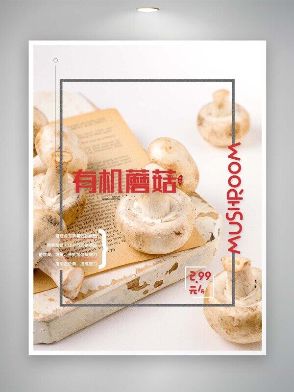有机蘑菇新鲜白色口蘑特价活动促销海报