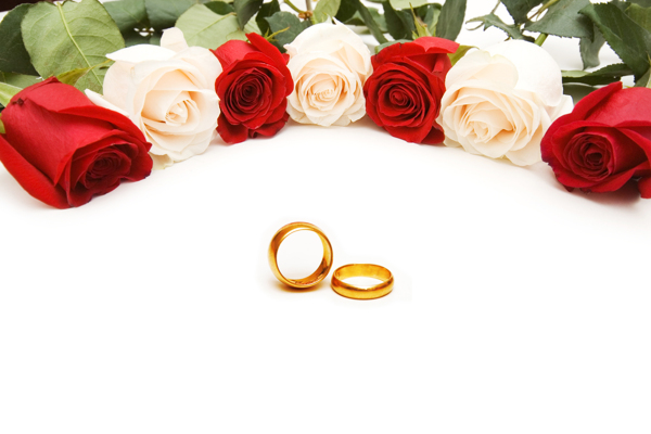 戒指和玫瑰花