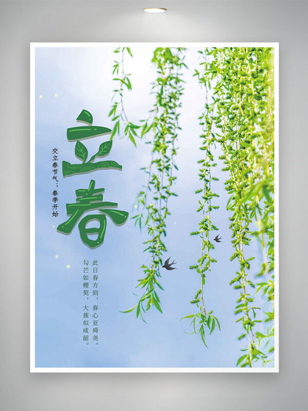 清新文艺柳枝插画立春节气简约海报