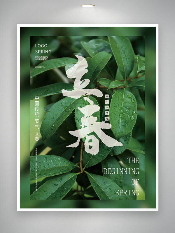 绿叶背景立春节气创意主题海报