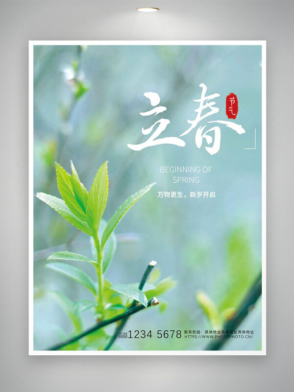 立春时节万物更生新岁开启嫩芽始出海报