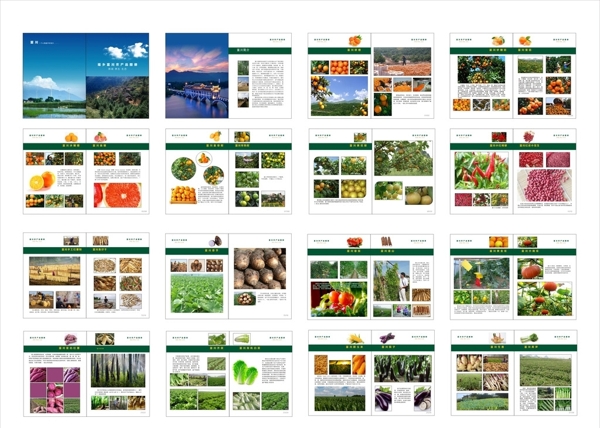 农产品画册图片