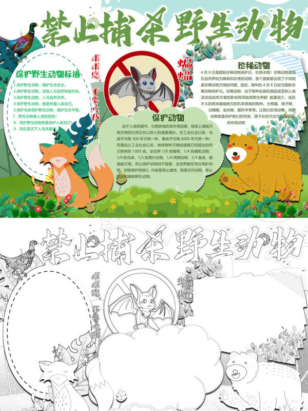 禁止捕杀野生动物保护珍稀动物手抄报