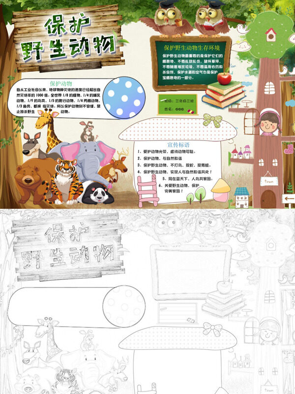 精美保护野生动物保护野生动物手抄报