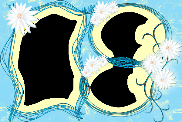 淡兰背景白菊花装饰花纹相框