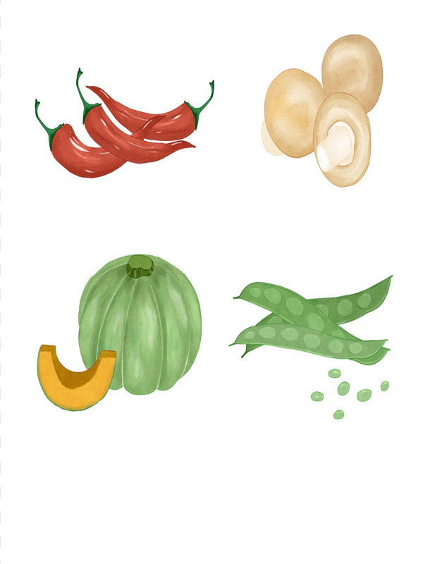 六种蔬菜水彩风食物美食食材