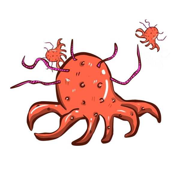 红色章鱼形状细菌