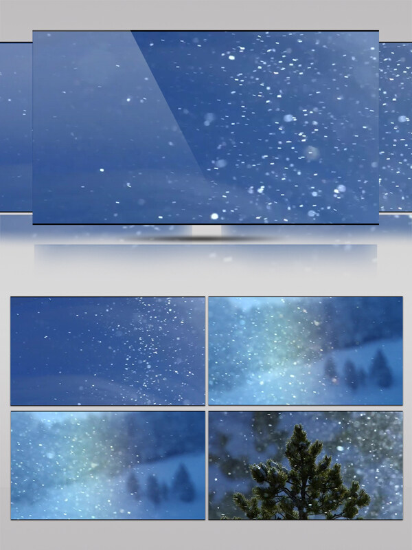 雪中的松树林视频素材