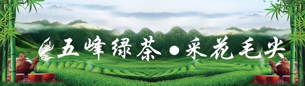 五峰绿茶图片