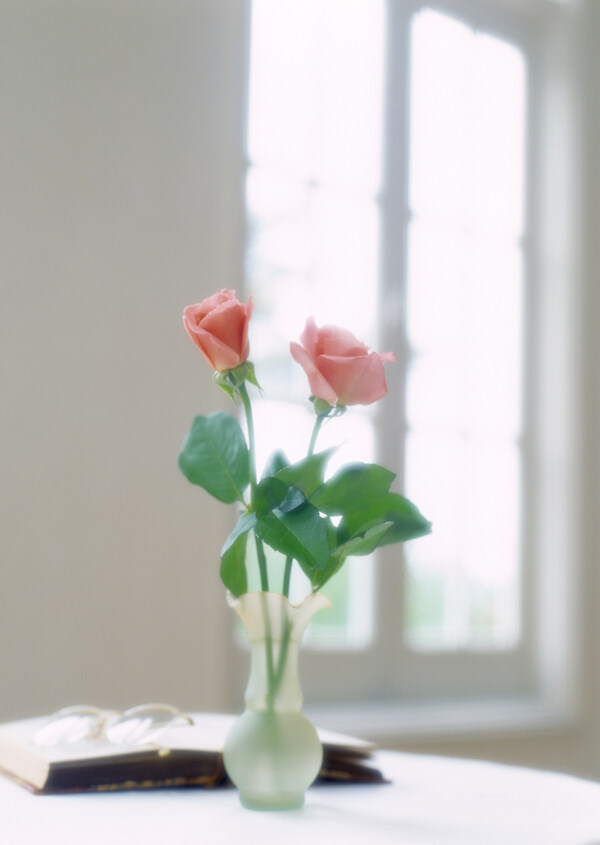 桌子上的花瓶图片