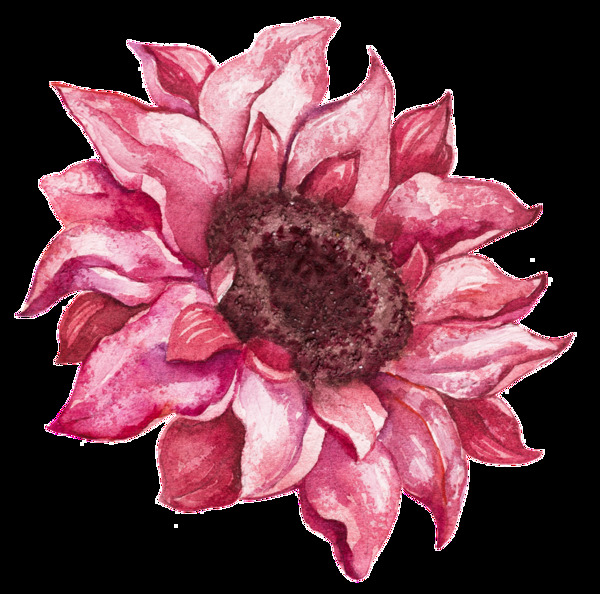 手绘逼真一朵粉红色花矢量素材