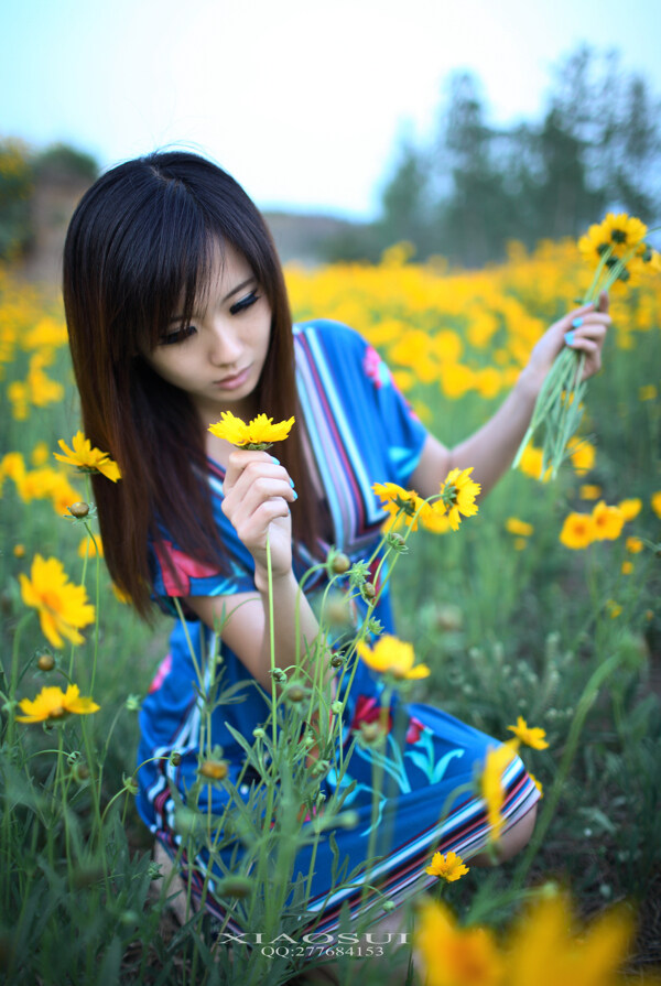 野菊花从中的美女图片