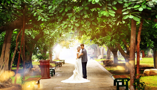 绿荫道里的婚纱情侣图片