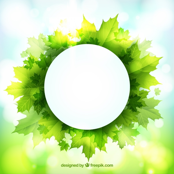 绿色枫叶装饰圆形标签背景矢量图