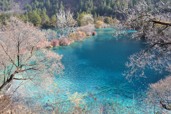 火花海图片