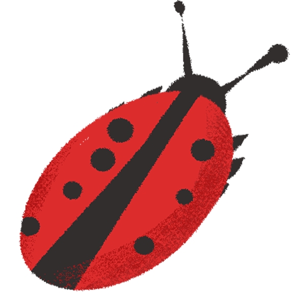 红色昆虫瓢虫图案