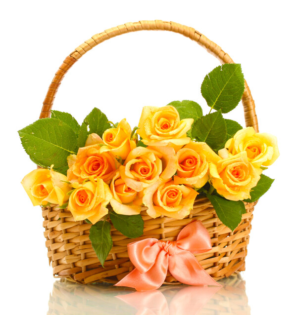 篮子里黄色玫瑰花图片